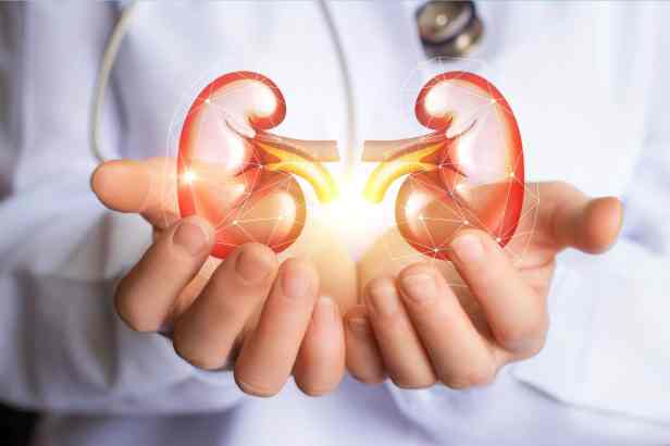 Kidney Disease