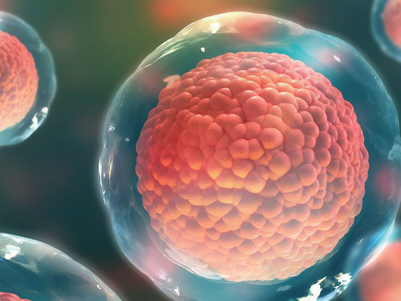 Stem Cell Breakthroughs: What Today’s Research Means for Tomorrow’s Healing